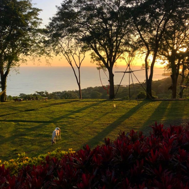 Tropical garden facing the ocean at sunset.
